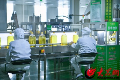 長(zhǎng)壽花食品股份 以科技創(chuàng)新驅(qū)動(dòng)企業(yè)發(fā)展與技術(shù)推廣